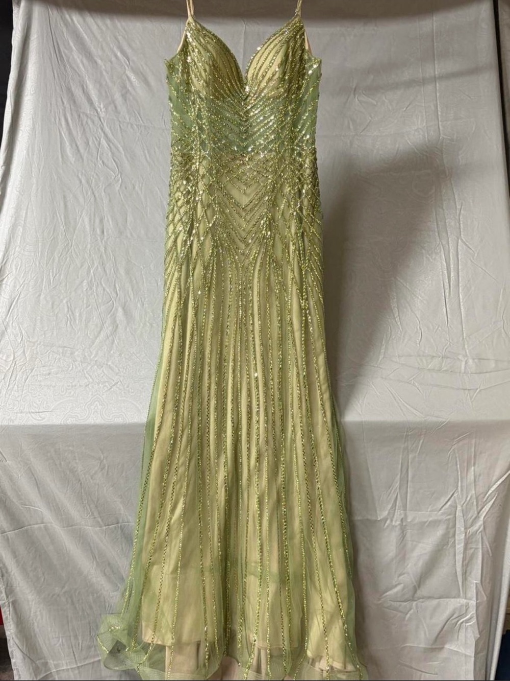 Elegant Beaded Light Green Evening Gown